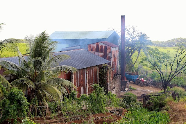 Distillerie Longueteau