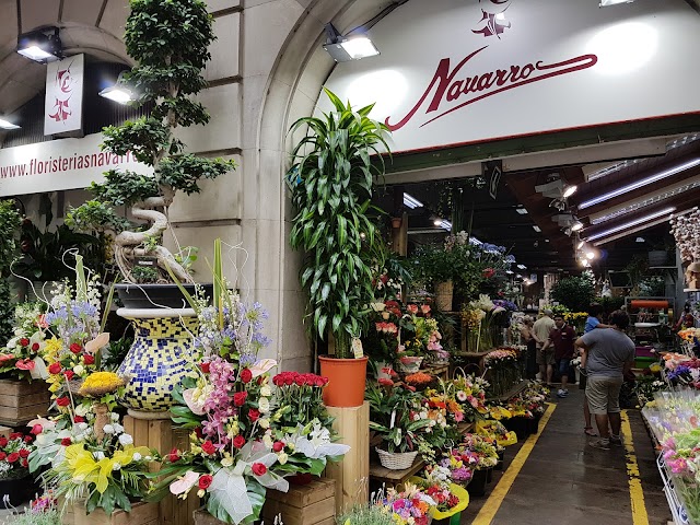 Flores Navarro