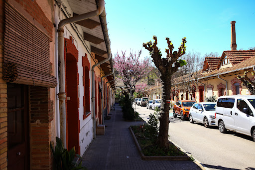 Borgonyà - Visual
