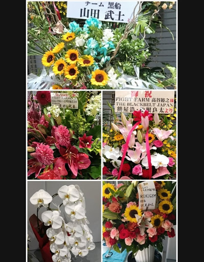 ファイトファーム亀戸、明日グランドオープン！
沢山のお花ありがとうございました！もう一丁！
#東京海上日動あんしん生命保険株式会社 荒井成喜さま
#THE BLACKBELT JAPAN鶴屋浩さま松根良太さま
#チーム黒船 山田武士さま