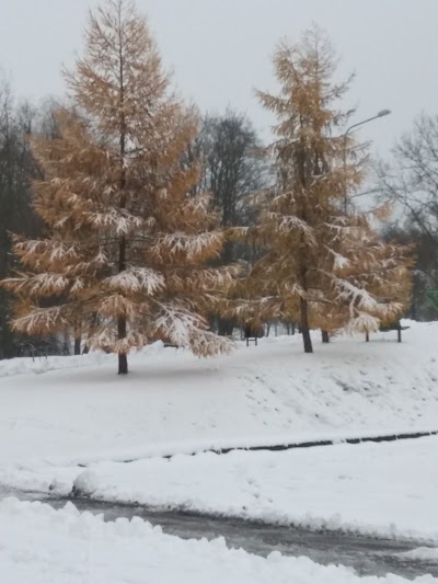 Photos of Kupa River Park