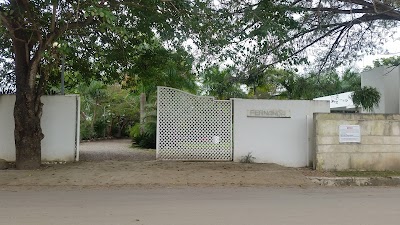 Photos of Fernanda Events