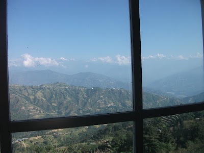 Photos of Hotel Rose Villa