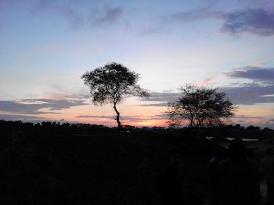 Photos of Musapur National Forest