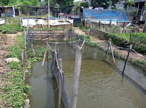 Saung lele indonesia, Author: Irfan Fernandi