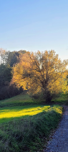 Handbergerweg - Visual