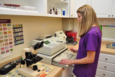 Photos of Davis Animal Hospital