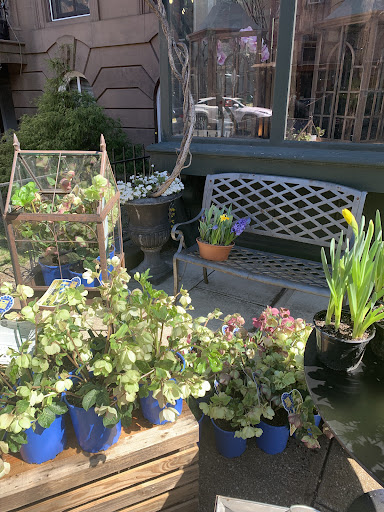 Beethoven’s Veranda - Thumbnail