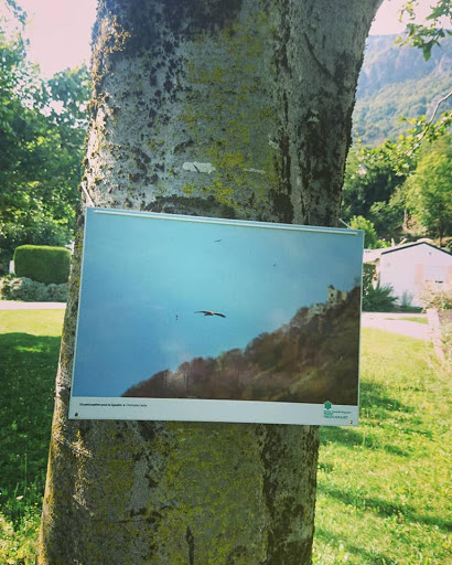 Mairie d'Agos-Vidalos - Thumbnail