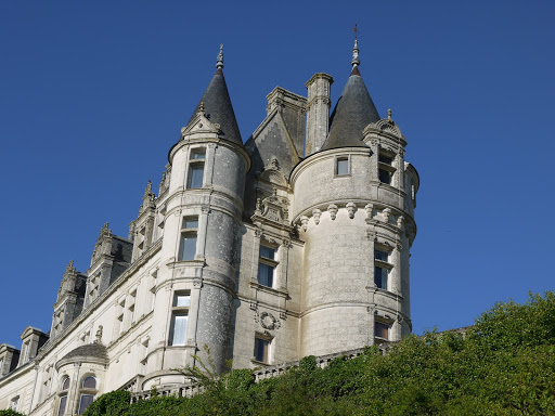 Photo de Résidence du Château à Saint-Aignan (41110)