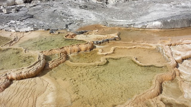 Mammoth Hot Springs