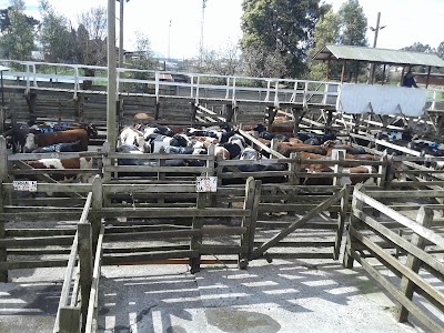 Photos of Plaza Pedro Montt, Plaza de Armas, Pitrufqu&eacute;n