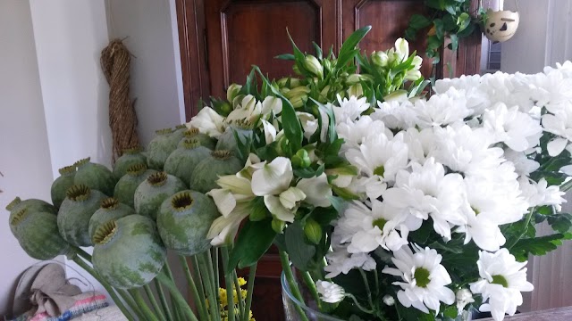 Mulino Fiori e Caffè