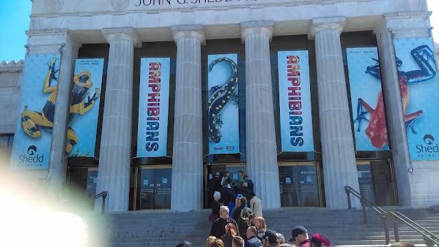 Shedd Aquarium