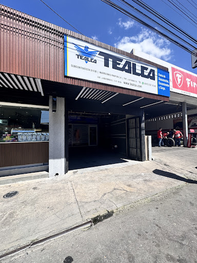 Tealca 5113B Av. Los Cedros