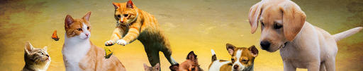unity pets - Visual