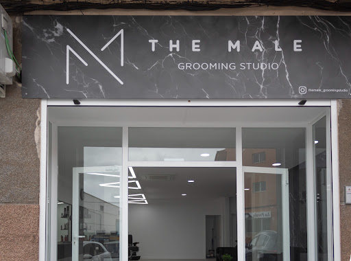 The Male Grooming Studio