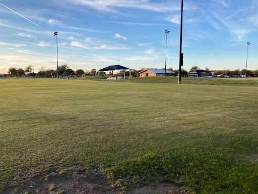 Field #10 - Visual