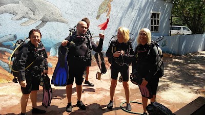 Photos of Atlantis Diving Curacao