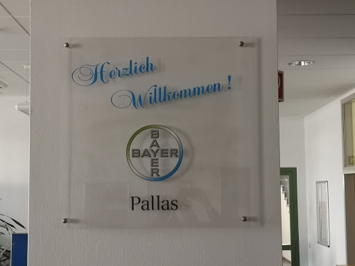 Pallas Versicherung AG