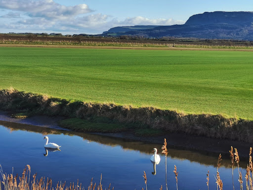 Carrowclare enbankment Gallery - United Kingdom