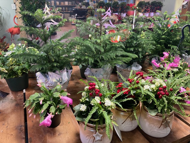 Spring Hill Garden Center