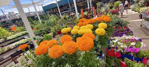 Bunnings Bunbury - Thumbnail