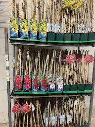 Photo n°34 de Fleurdepot à Roumare (Jardinerie)