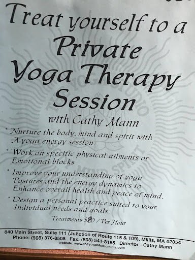 The Yoga Studio Millis - Thumbnail