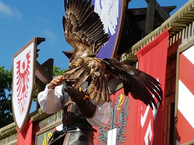 Le Bal des Oiseaux Fantômes