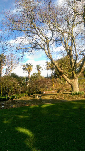 Hawera - Thumbnail