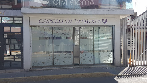 Capelli di Vittoria Logo
