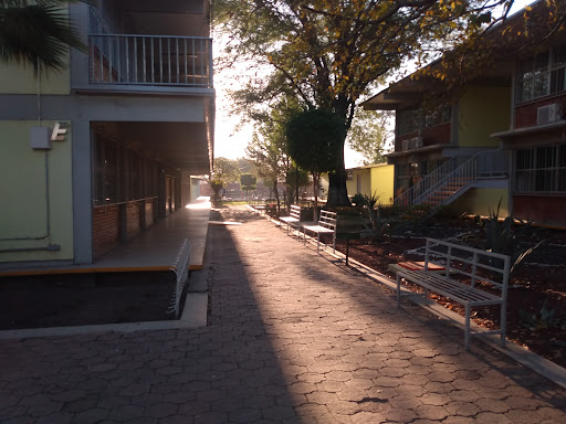 CBTis No.172 - Thumbnail