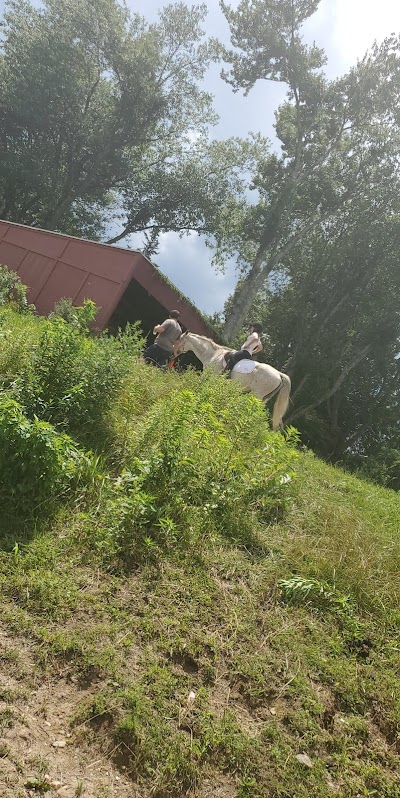 Chasing a Dream Barn