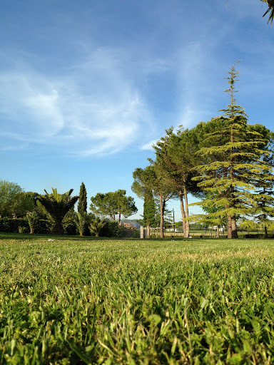 Koinonia Giovanni Battista - Oasi di Recanati - Thumbnail