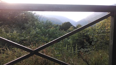 Photos of پارک جنگلی جوارم
