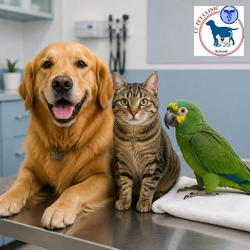 Regular health checkups are not one-size-fits-all. At Caring Claws Pet Clinic and Surgical Center…