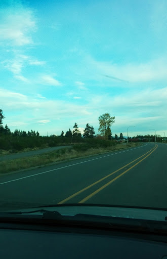 Cherry Meadows - Visual