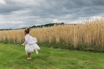 Daniel Zube Fotografie