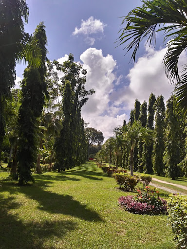 Campiña Cocó - Visual