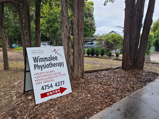 Winmalee Physiotherapy - Thumbnail