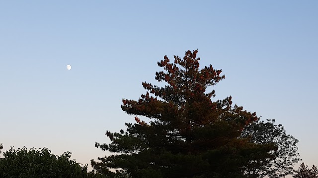 Senator Speno Memorial Park