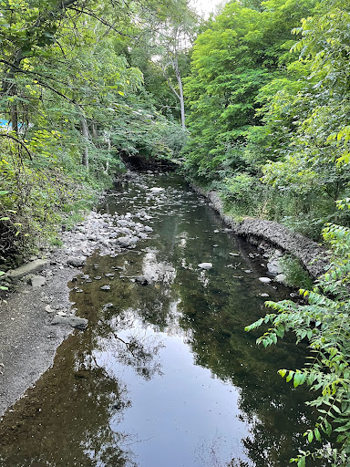 Taylor Creek Dog Park - Thumbnail