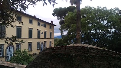 Photos of Fattoria di Petrognano