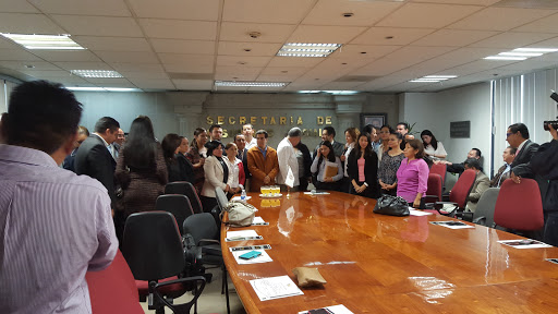 Secretaría de Desarrollo Social del Estado de Veracruz - Thumbnail