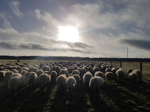 FERME DU POIRIER