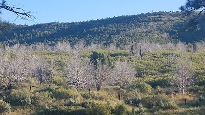 James Canyon Campground