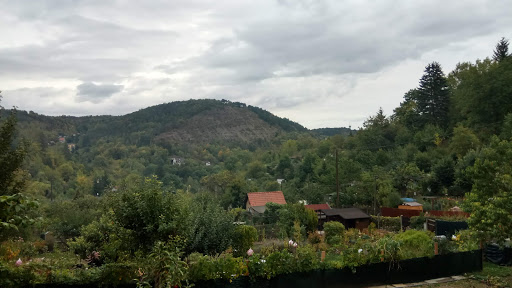 Gartenverein "Im Langetal" - Thumbnail