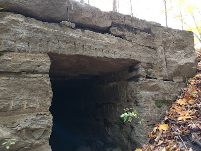 The Cow Tunnel