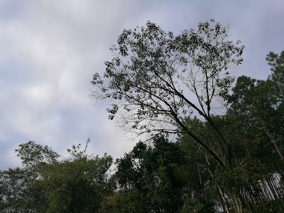 Photos of Las Mercedes Casa & Estilo